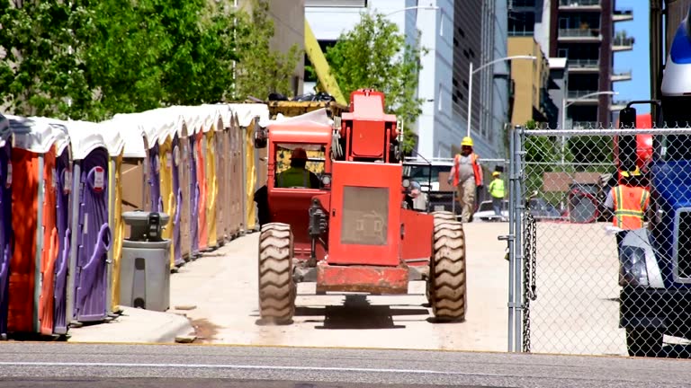 How Our Tree Care Process Works  in  Riverside, CT